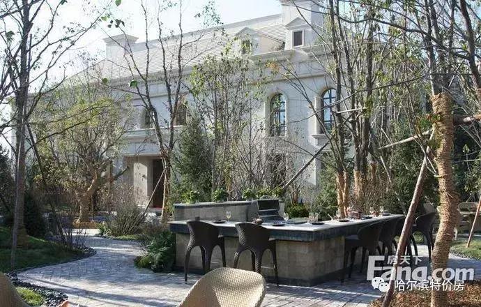 哈尔滨最好的校区房周边新楼盘,哈尔滨性价比高的校区房