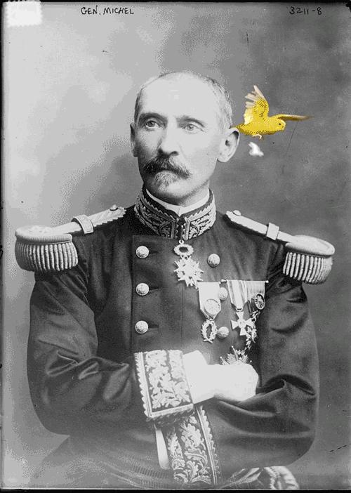 拿鸡当摄像机,拿鸡当摄像头