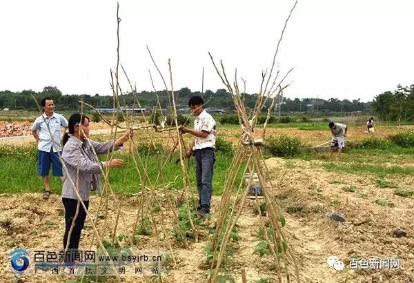 未来三年，百色乡村将大变样！百色市将投资89.81亿元进行乡村风貌提升行动！