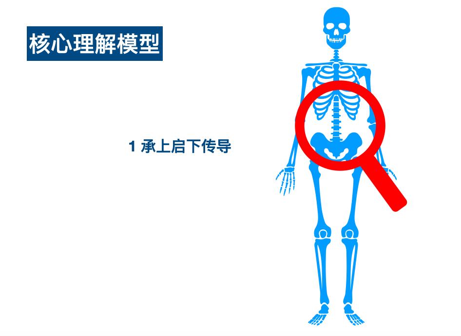 腰腹部肌肉锻炼方法图解,腰腹肌侧肌锻炼方法