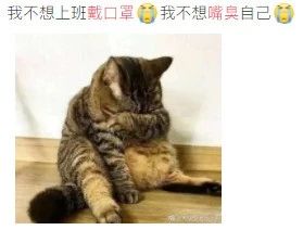 没口臭戴一会口罩就有味道,戴口罩没有味道能说明没有口臭吗