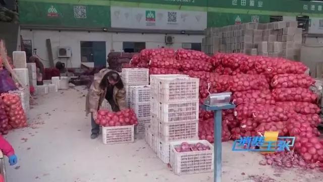 印度洋葱价格上涨100倍怎么回事,印度洋葱涨价