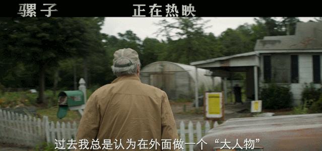 骡子电影原版,哪一部电影有骡子