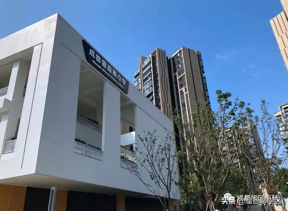 大源板块学校,大源片区最好的小学