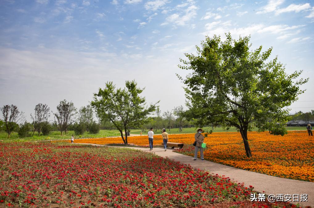 西安市有哪些公园免费开放,西安免费儿童玩的公园