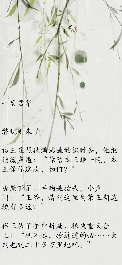 一度君华最好看的小说txt,一度君华小说推荐穿越