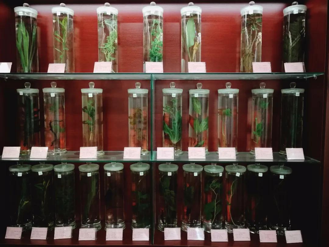 这个区域的居民就医方便了,日照市中医医院在云海路增加执业地点