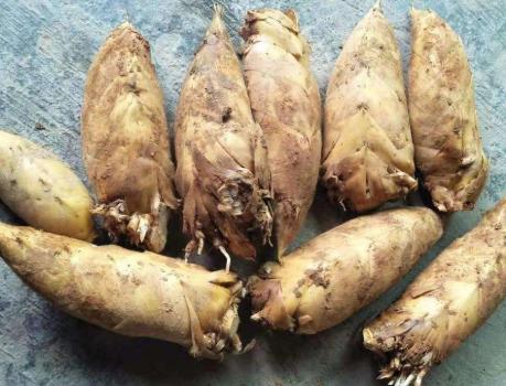 新鲜小竹笋五花肉,五花肉烧竹笋怎么做好吃又简单