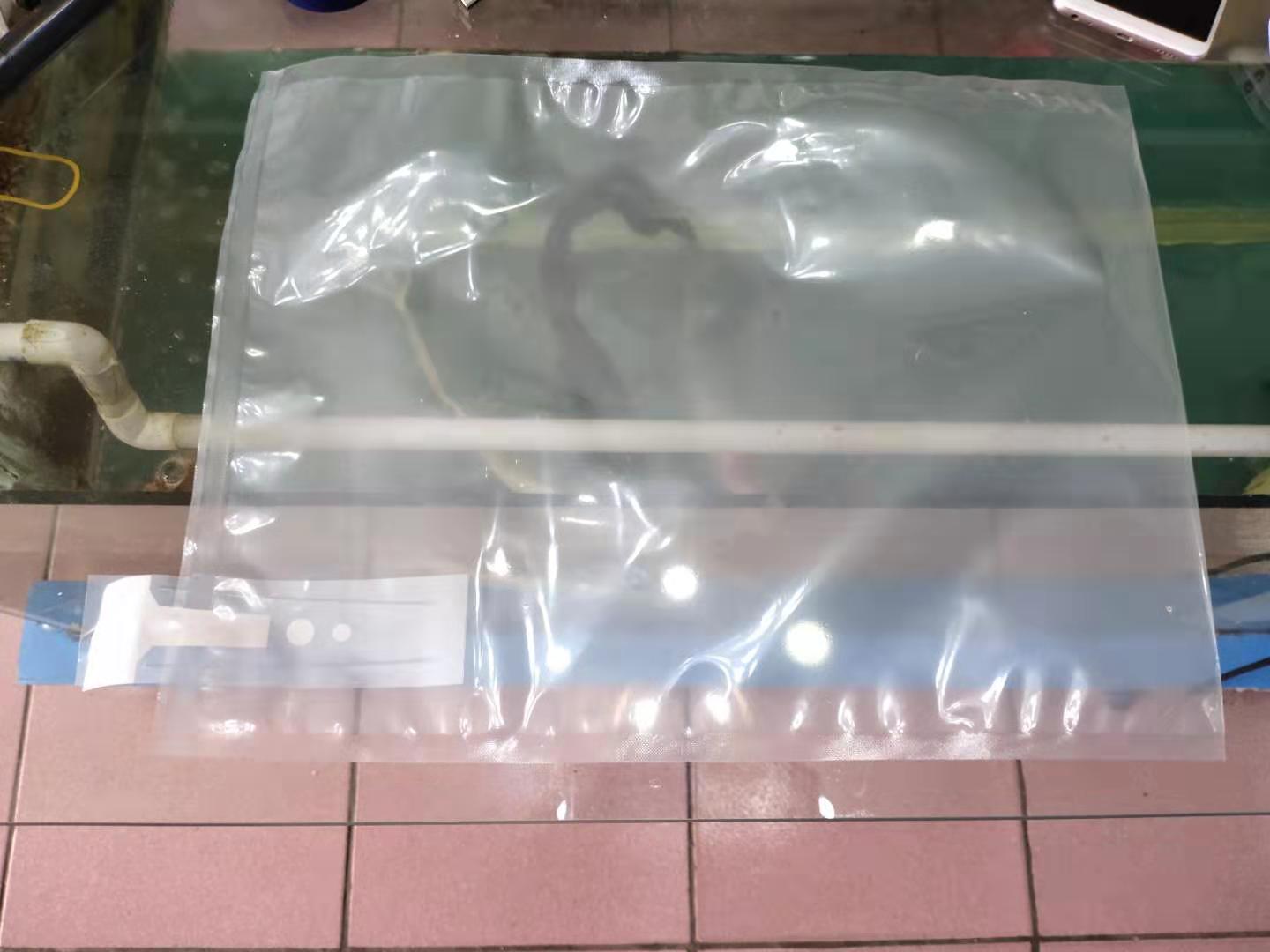 观赏鱼运输过程中有没有放什么药,观赏鱼运输一个小时可以吗