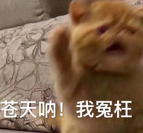 紧张想上厕所是什么原因,考试紧张想上厕所吃什么能缓解