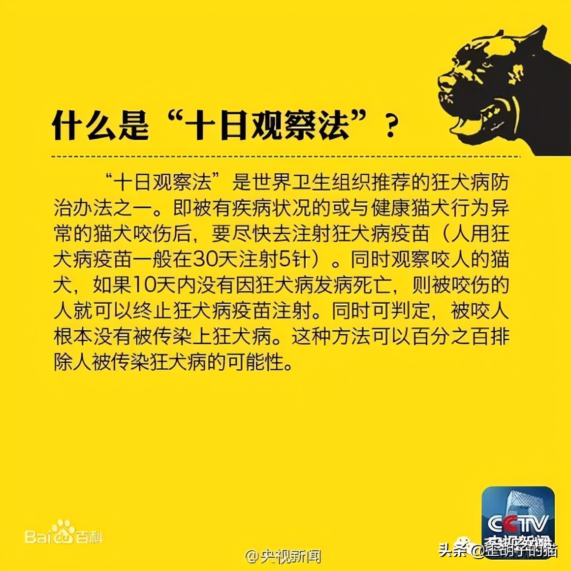猫抓伤得狂犬病猫也会死吗,我被猫抓伤了伤口很深要打疫苗吗