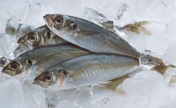 各种简单的海鱼做法,常用各种海鱼的做法