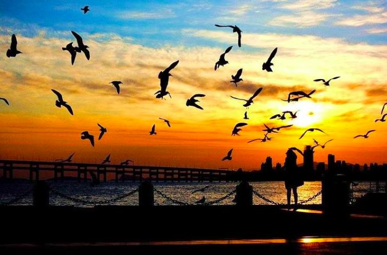 北纬38度海滨城市大连,四面环海的大连