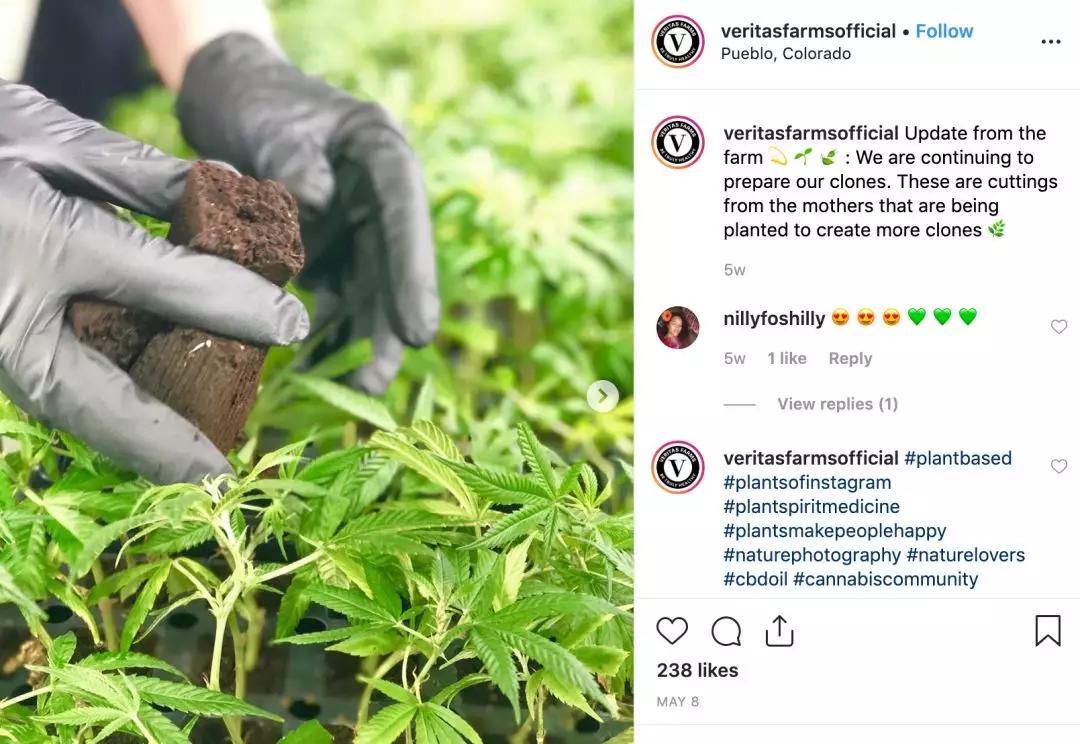 妆食同源产品,美妆品牌该如何规避同质化