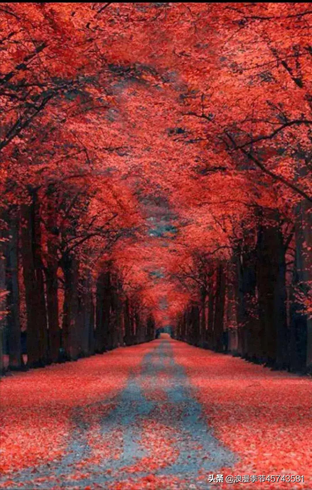 却道天凉好个秋散文800字,天凉好个秋散文500字