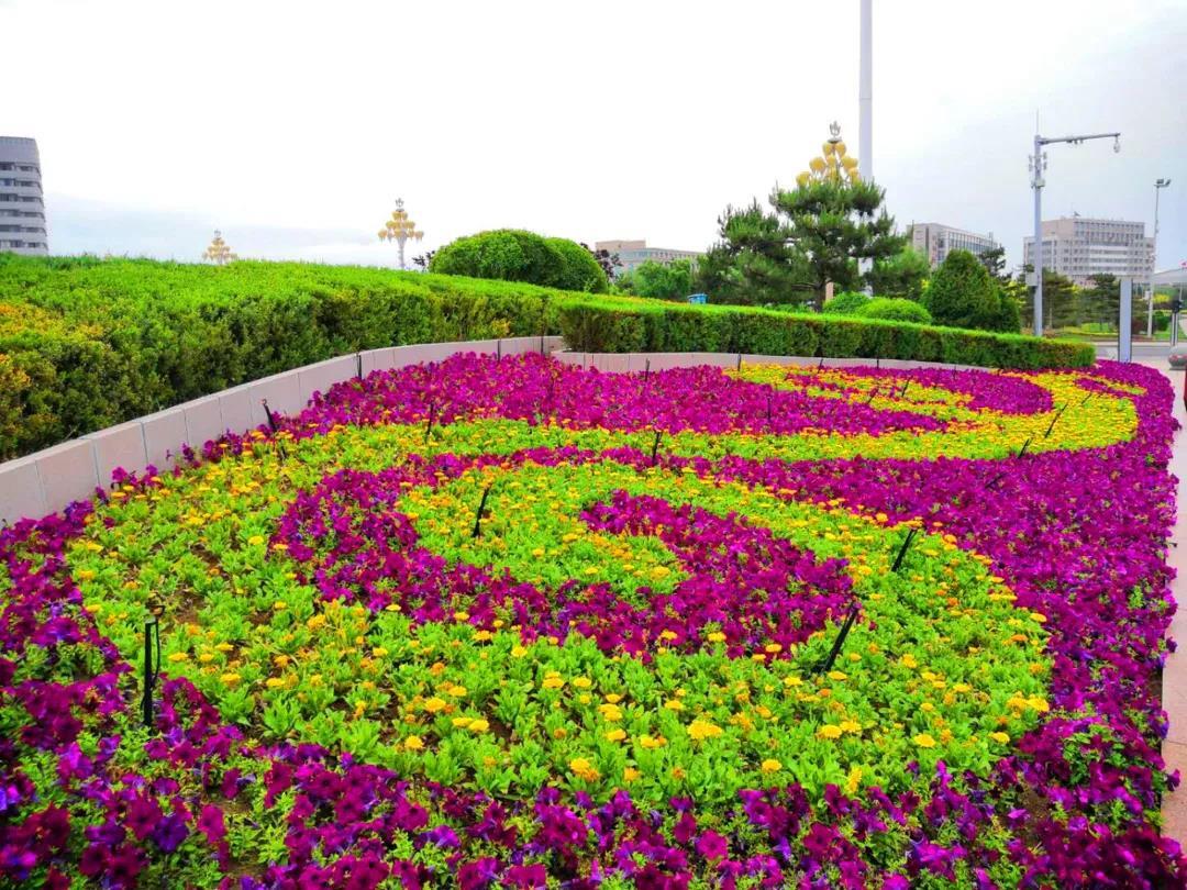 中国“最强最美”的四线城市，名气比肩新一线，非常受游客欢迎