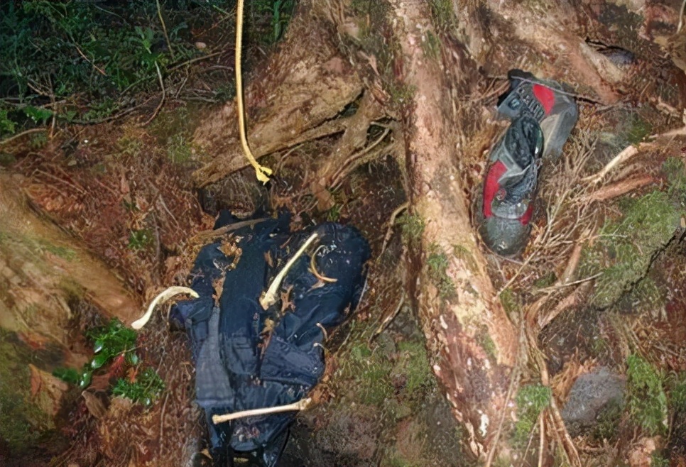 在日本被誉为“自杀森林”的青木原树海是什么地方