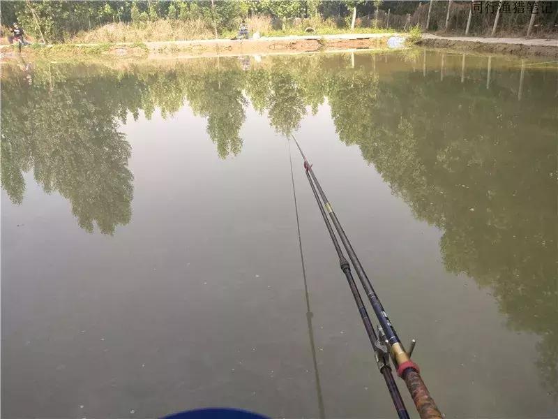 从钓鱼大师到钓鱼圣人,钓鱼大师为啥都是小钩细线钓大鱼