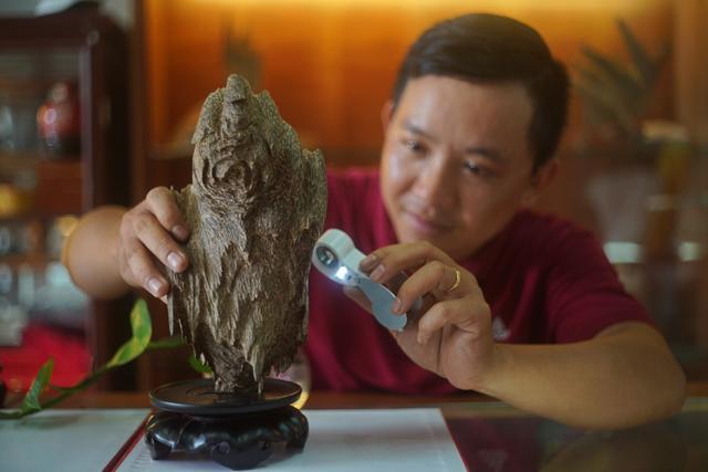 越南芽庄沉香与海南沉香的区别,越南沉香实地考察