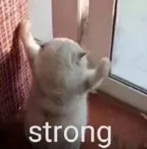 闲鱼怎么让闲置的衣服快速卖,怎样在闲鱼平台卖闲置衣服包包