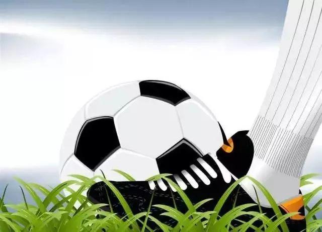 派迪茵羽毛球网架价格,派迪茵体育股份有限公司瑞金