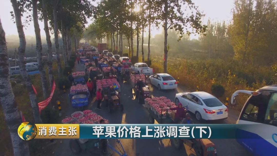 走访终端市场要了解哪些,全国苹果产区最新信息