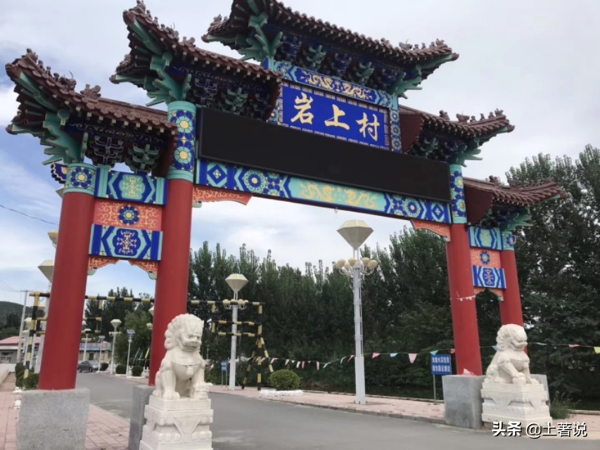 野菜蒲公英图片及识别方法,蒲公英野菜大全配图片和名字