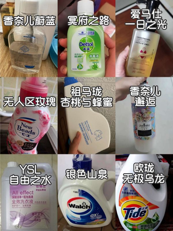 被香气吸引的洗衣液,香水洗衣液持久留香香奈儿