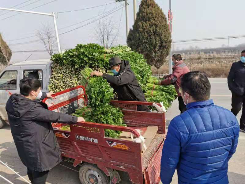 原农村的代购代销员,山村党员代购员有哪些