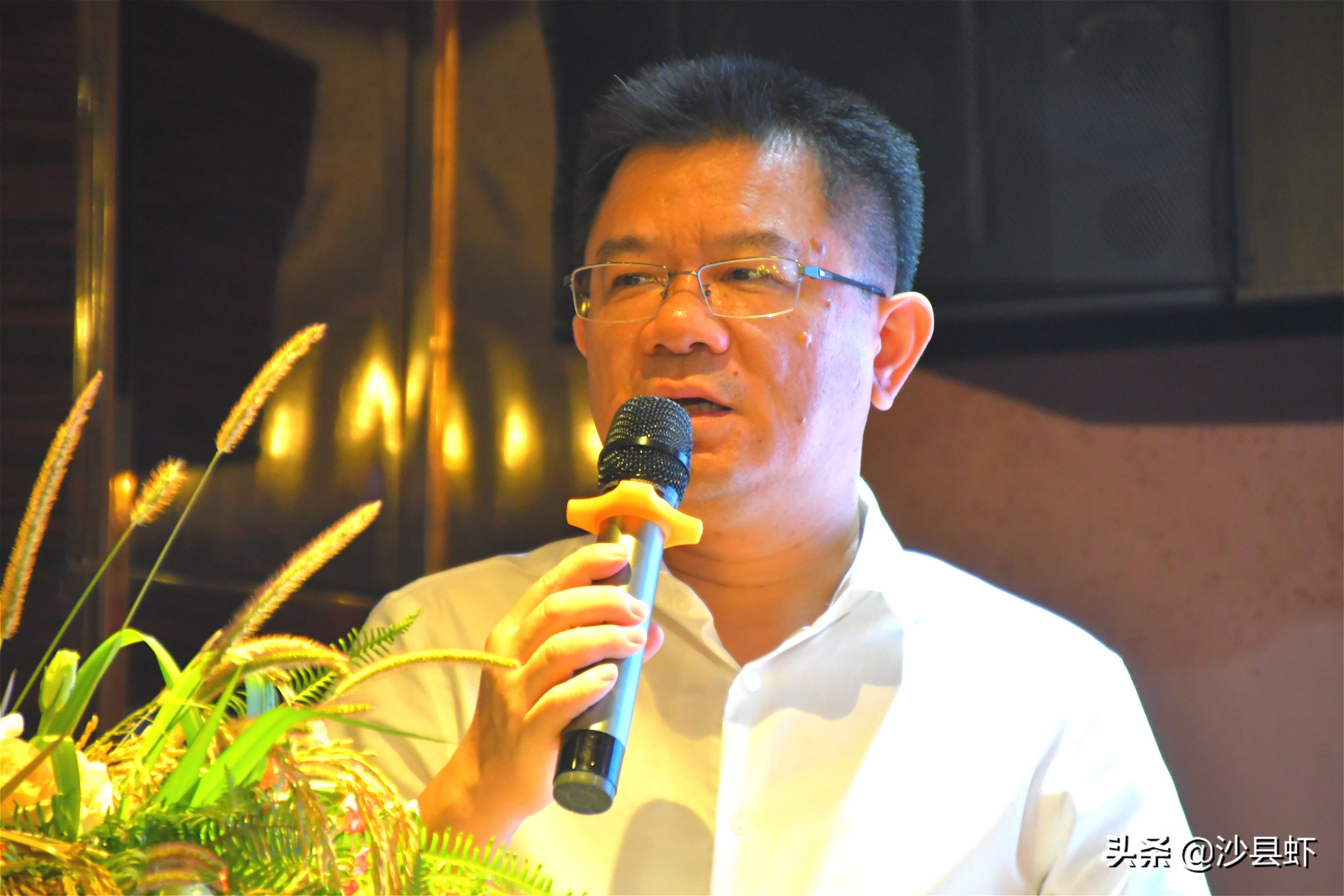 沙县举办大道至简、企业家文化论坛