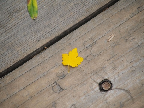 四姑娘山冬日旅行,2022年冬天四姑娘山游记