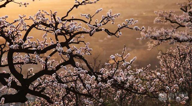 想见你，五彩缤纷的蓝田！「图」