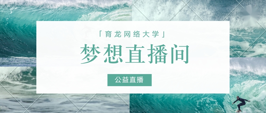 国美倒闭史,2003国美