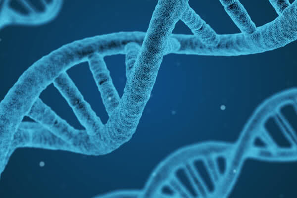 细胞为什么能永生,细胞为什么有自己的生长能力