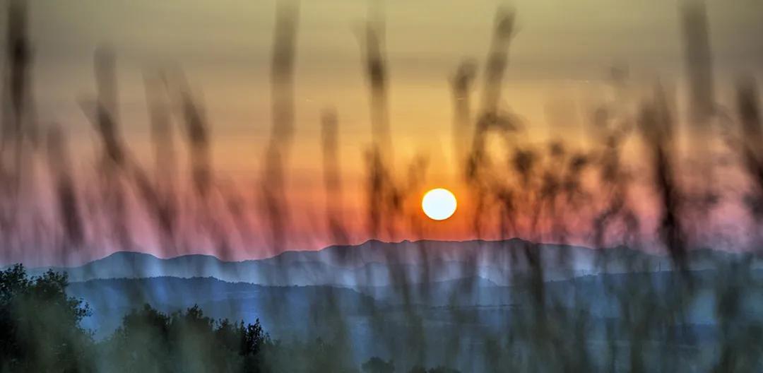 如何做到乡村振兴产业兴旺,未来5年乡村产业振兴