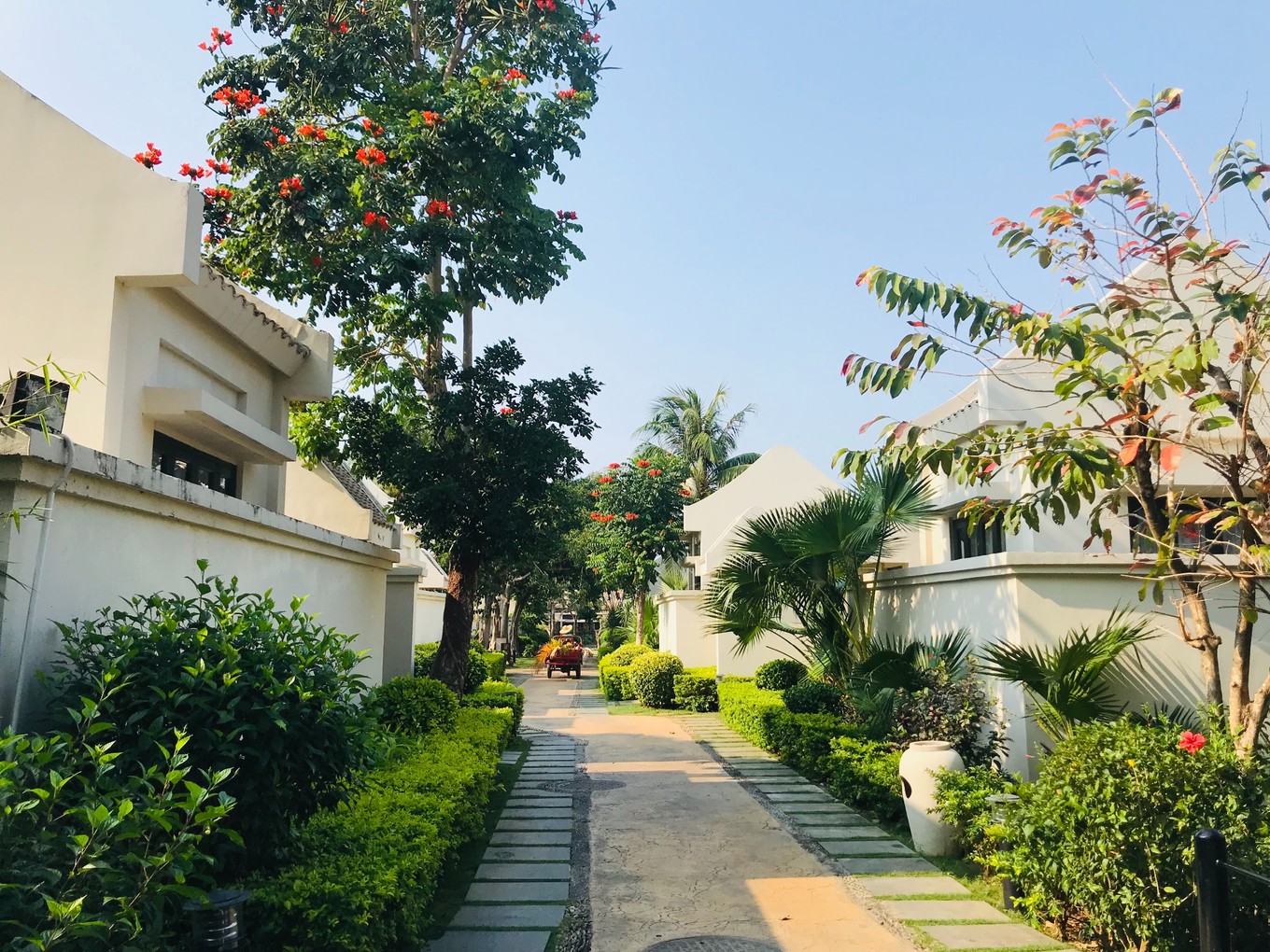 三亚躲台风,三亚避寒15天游玩攻略