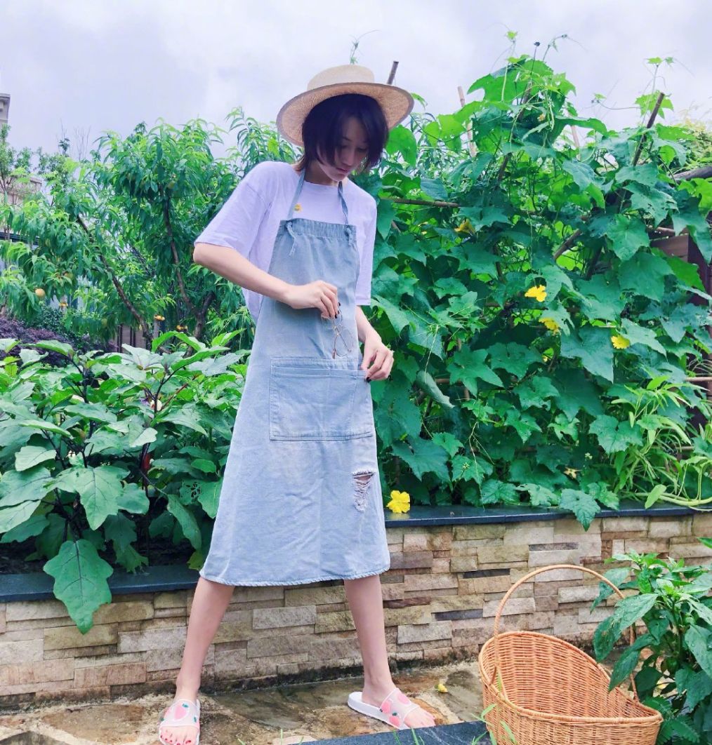 张馨予帮助摔倒的老人,张馨予帮助的老爷爷的视频