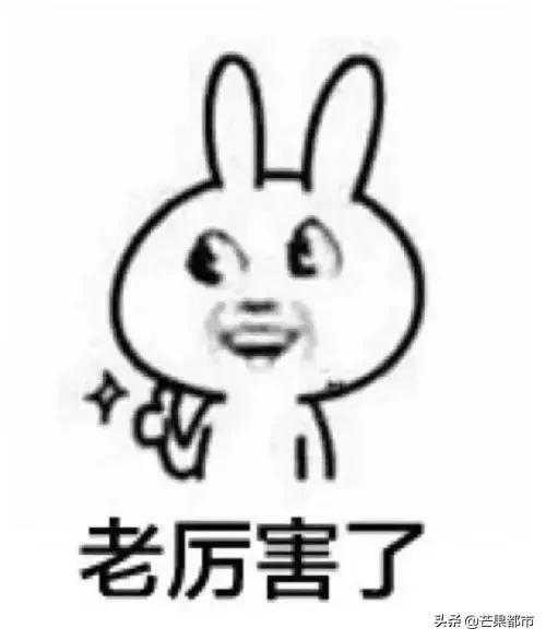 990米峡谷险峰翼装飞行、世界级大咖齐聚桥牌公开赛…湖南都市现场直播