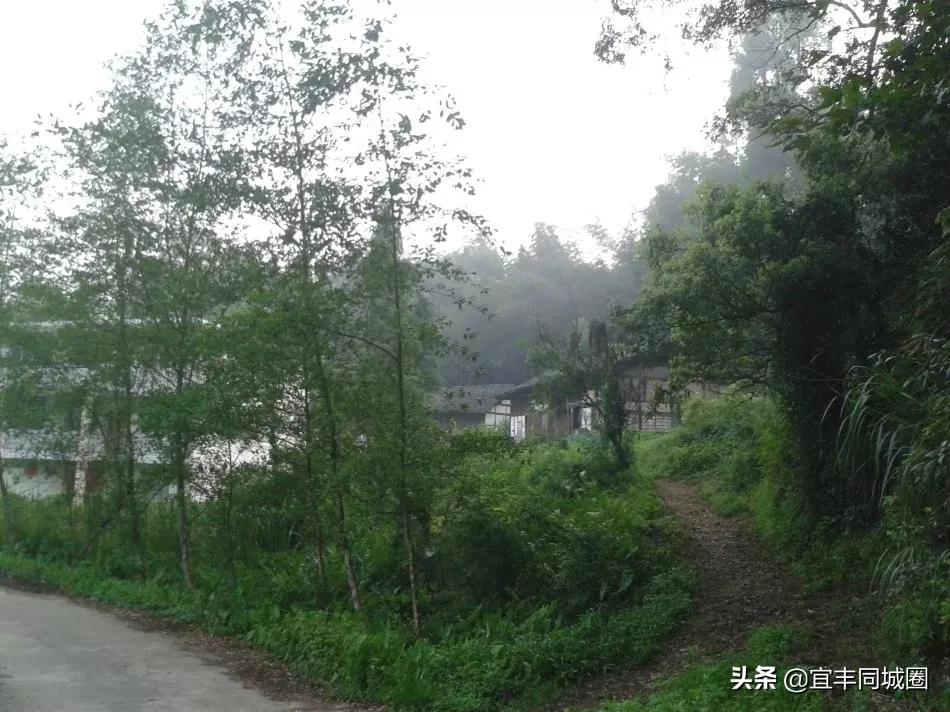 这些失传已久的童谣你还记得吗,这些即将消失的老行当你还记得吗