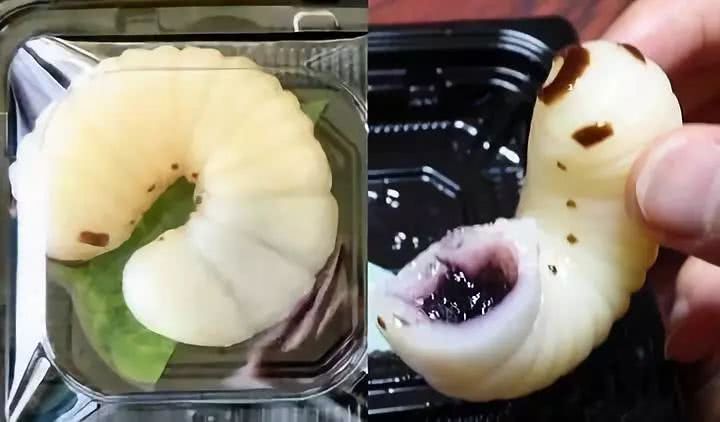 又辣又耐嚼的零食试吃测评,测评奇葩零食奇葩到你无法想象