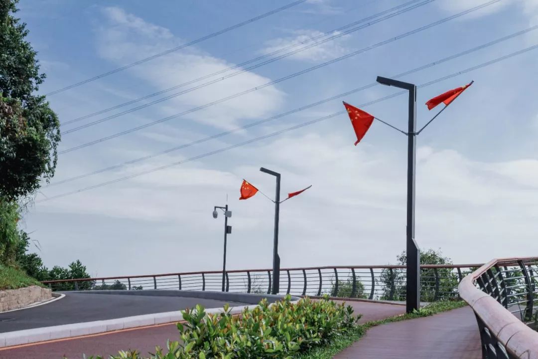 又发现深圳一个“绝美打卡地”!“淘金”绿道,人少免费