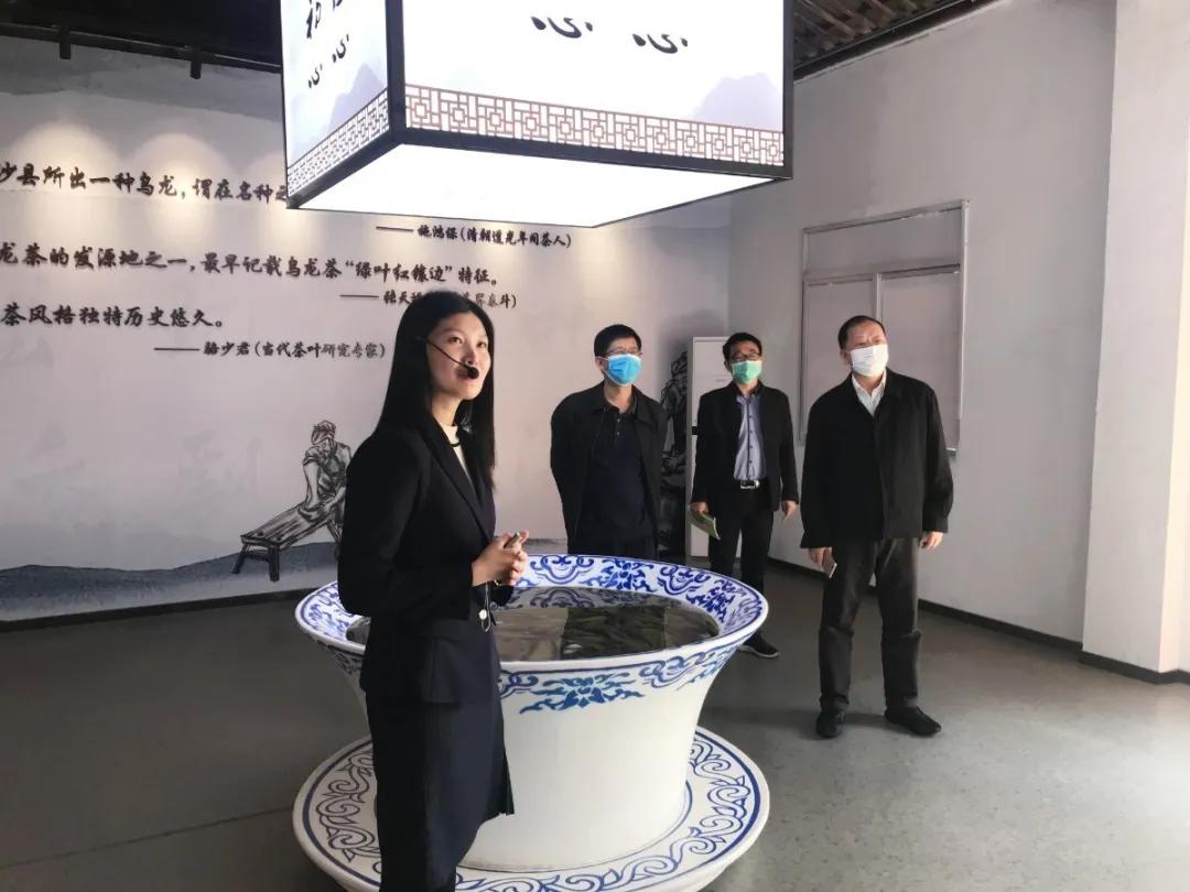 把红边茶文化传播得更远——“茶女”林岚微的梦想