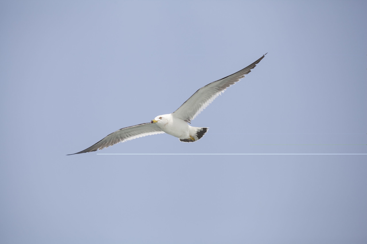 曹德旺离婚妻子说了四句话,曹德旺发妻陈凤英