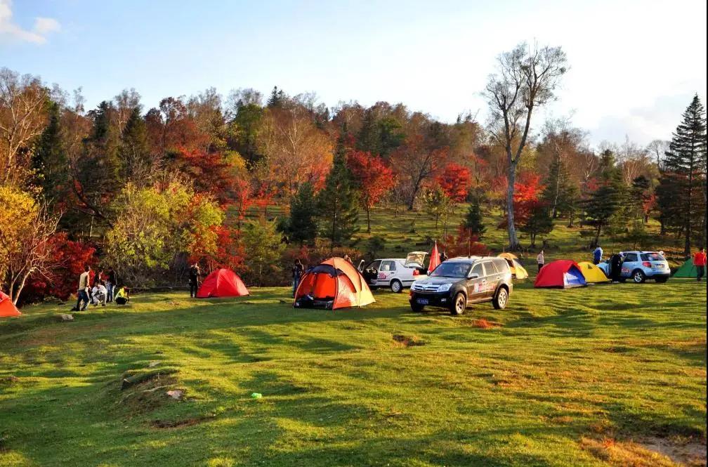 假期逛景区一大波优惠等着您,景点优惠活动视频