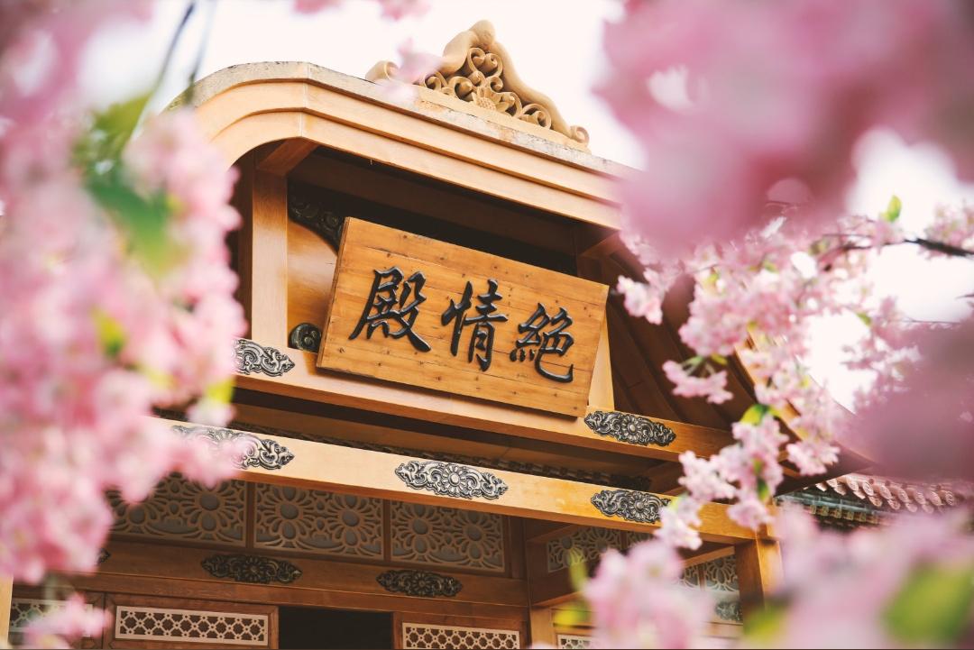 横店有什么好玩的推荐,横店有哪些好玩的旅游景点