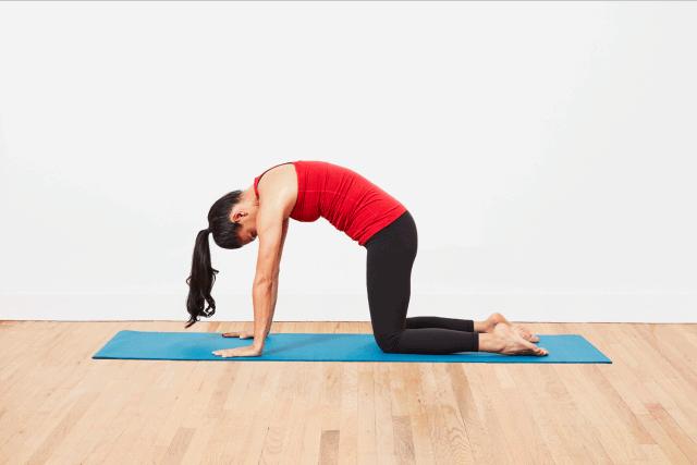 瑜伽怎么训练脊柱灵活性,瑜伽脊柱练习有哪些动作