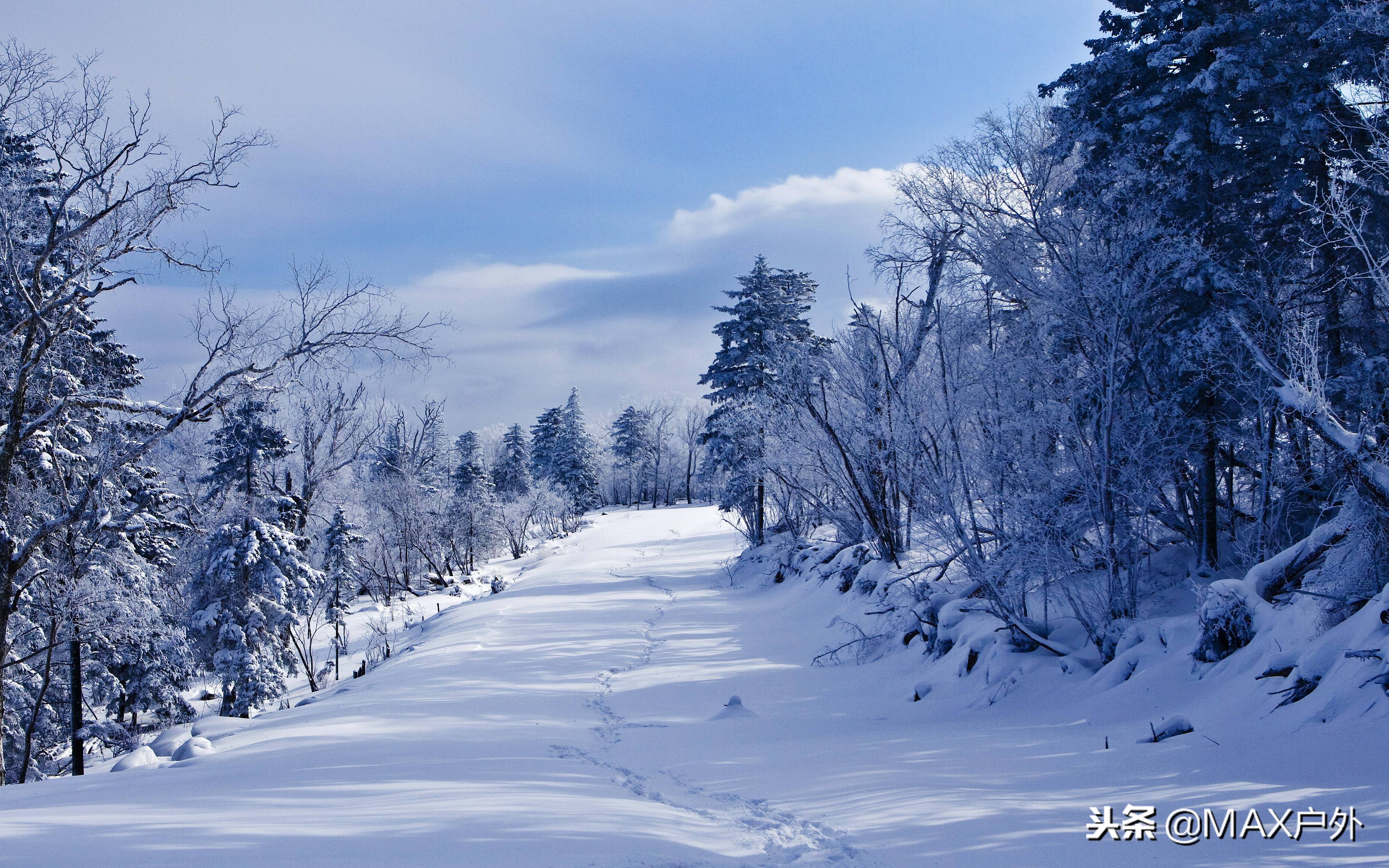雪乡宰客自由行,雪乡避坑攻略拒绝隐形消费