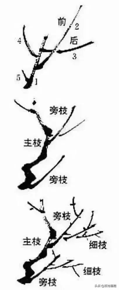 国画梅花画法视频,徐湛梅花画法教程