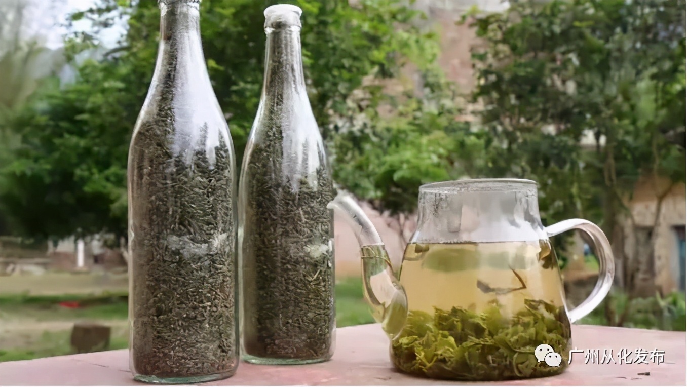 从化吕田美食攻略,从化吕田特色美食有哪些