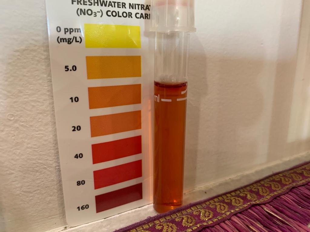 鱼缸不换水硝酸盐怎么处理,鱼缸爆氧可以减少硝酸盐吗